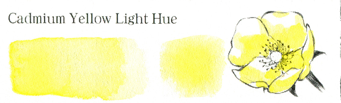 Cadmium Yellow Light Hue