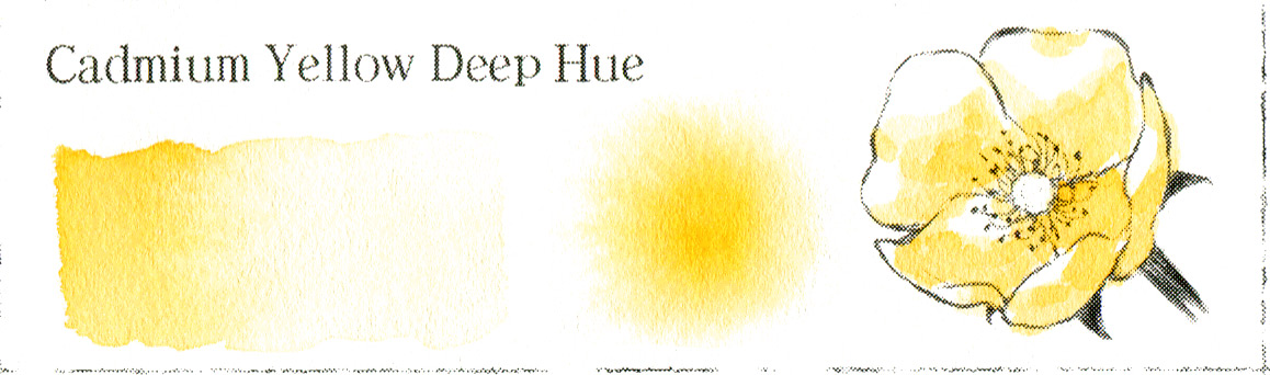 Cadmium Yellow Deep Hue