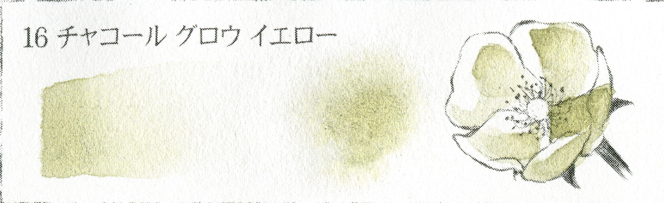 チャコールカラー 16 チャコール グロウ イエロー