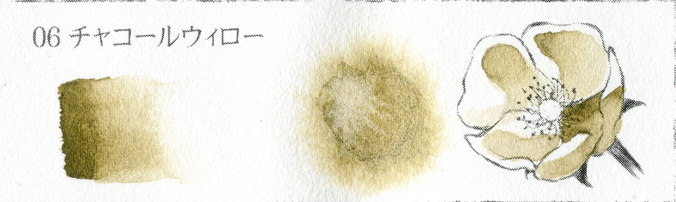 チャコールカラー 06 チャコールウィロー