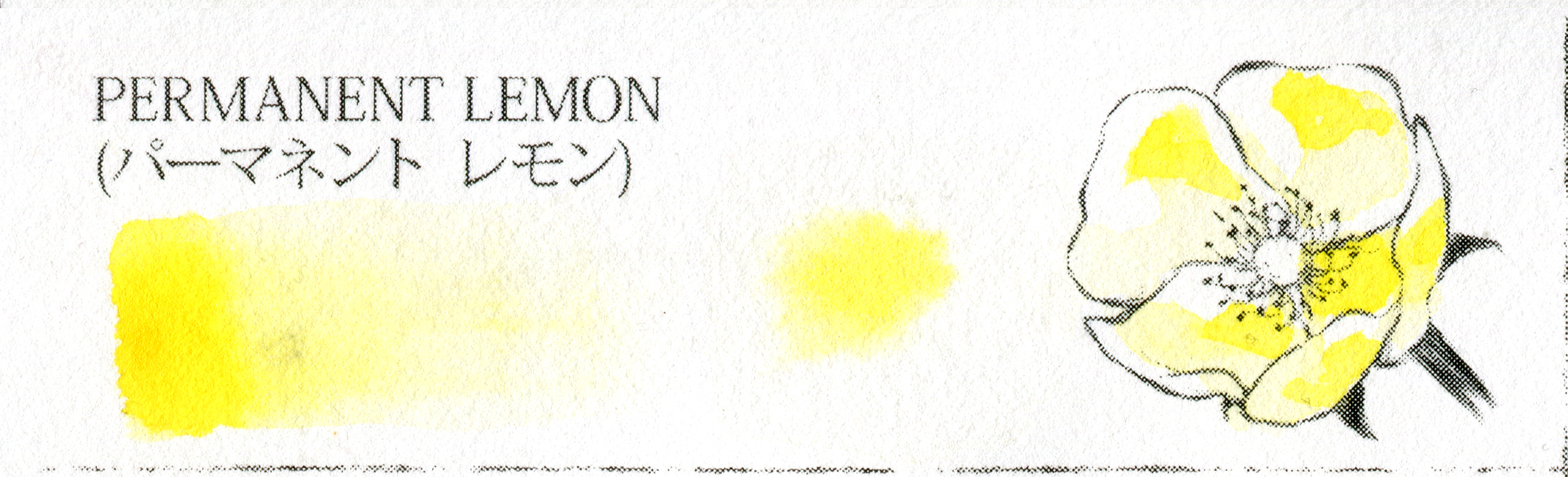 PERMANENT LEMON (パーマネント レモン)