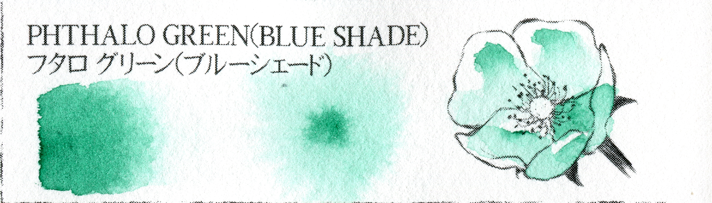 PHTHALO GREEN(BLUE SHADE) (フタロ グリーン(ブルーシェード))