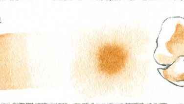 Raw Sienna