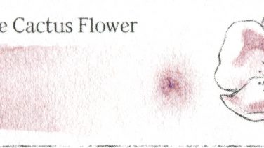 Duochrome Cactus Flower