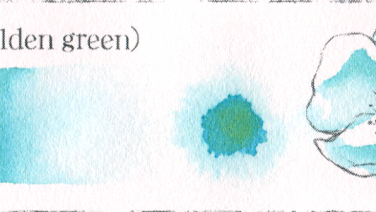 拾翠羽(Golden green)