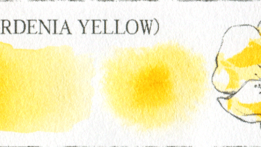 梔子黄(GARDENIA YELLOW)