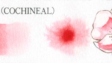 胭脂虫大紅(COCHENEAL)