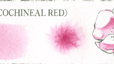 胭脂虫紅(COCHENEAL RED)