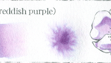 絳色(dark reddish purple)