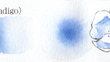 頂上花青(Indigo)