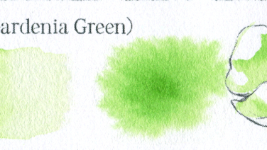 青枝叶緑(Gardenia Green)