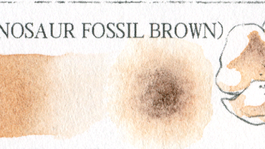龍石棕(DINOSAUR FOSSIL BROWN)