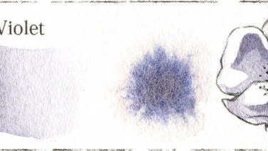 Deep Sea Violet