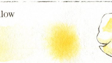 Turners Yellow