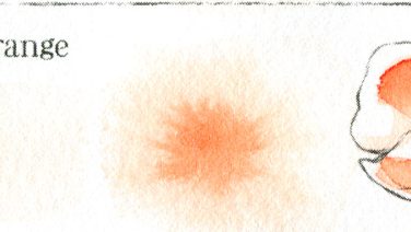 Autumn Orange