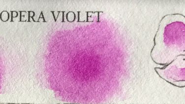 歌剧紫罗兰 OPERA VIOLET