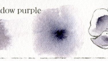 阴影紫 Shadow purple