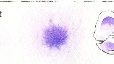 Blue Violet