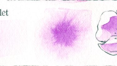 Bright Violet