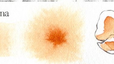 Burnt Sienna