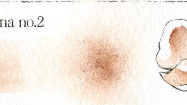 Burnt Sienna no.2