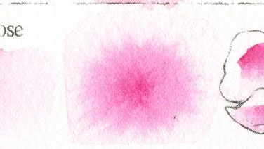 Compose Rose