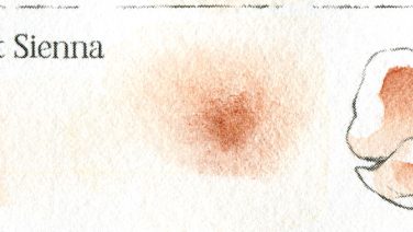 Dark Burnt Sienna