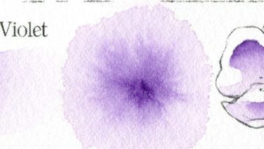 Dioxazine Violet