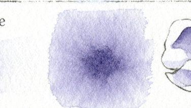 Mijello Blue