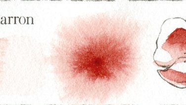 Perylene Marron