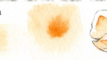 Raw Sienna