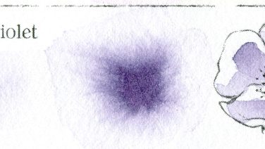 Shadow Violet