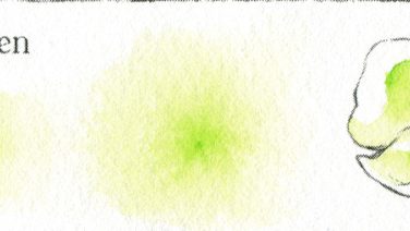 Yellow Green