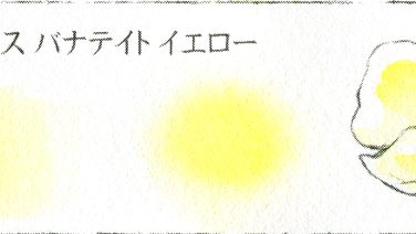 115 ビスマス バナテイト イエロー