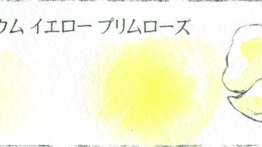 105 カドミウム イエロー プリムローズ