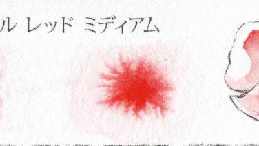 210 ピロール レッド ミディアム