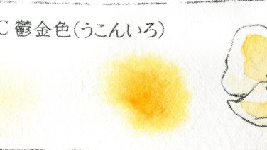 TURMERIC 鬱金色（うこんいろ)