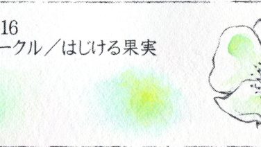 ハルモニア 16 ライム スパークル／はじける果実