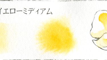 ＃２４７ アゾイエローミディアム