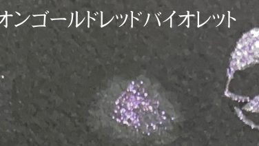 ＃８６０ カメレオンゴールドレッドバイオレット