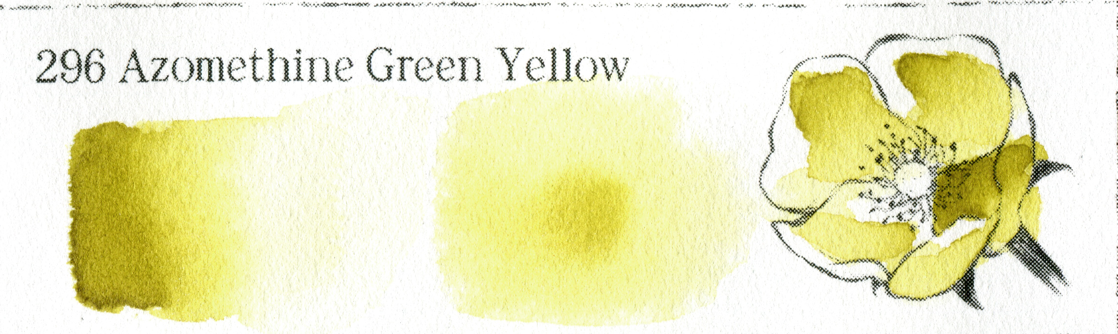 296 Azomethine Green Yellow