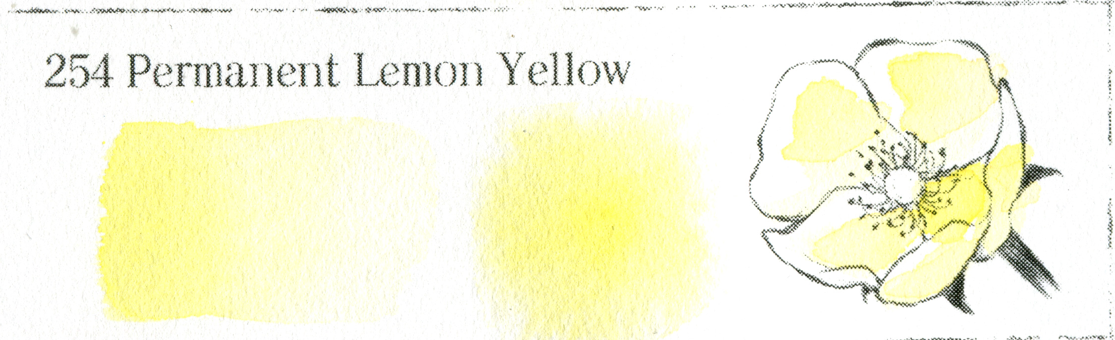 254 Permanent Lemon Yellow (Primary)