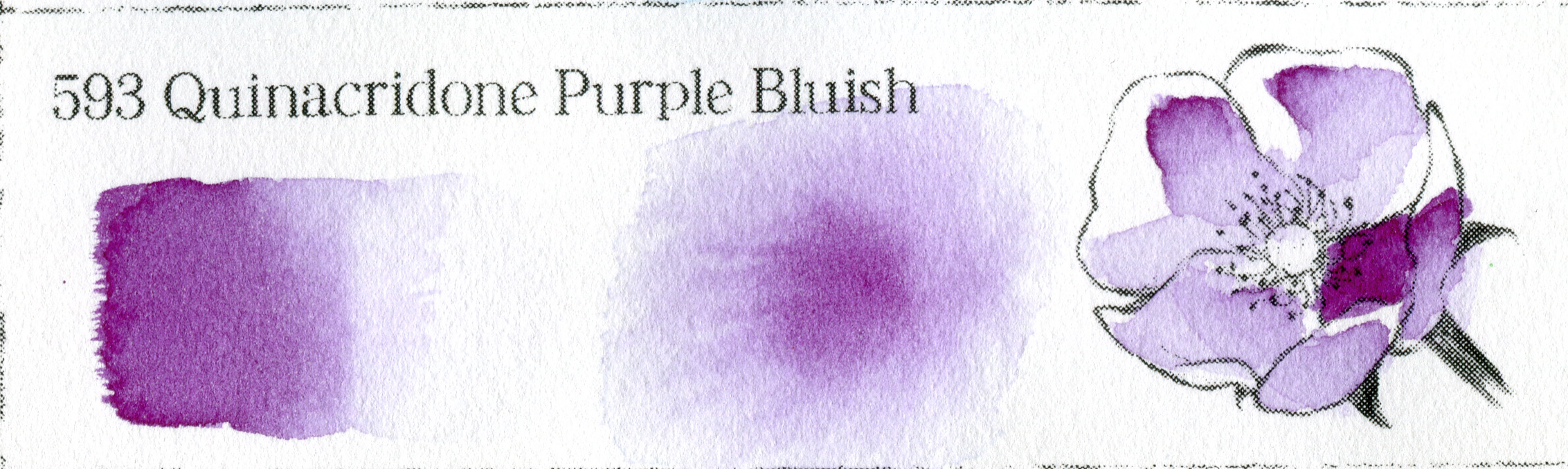 593 Quinacridone Purple Bluish