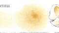 234 Raw Sienna