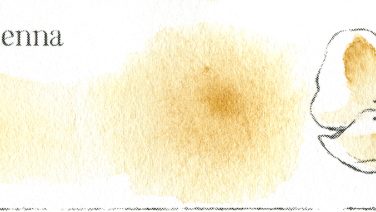 234 Raw Sienna