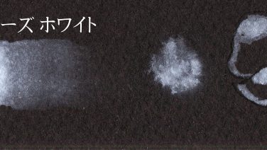 プチカラー チャイニーズ ホワイト