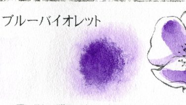 プチカラー パーマネント ブルーバイオレット