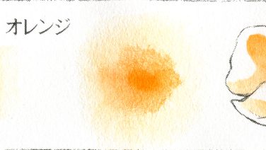 プチカラー パーマネント オレンジ
