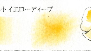 プチカラー パーマネント イエローディープ
