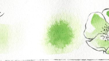 プチカラー サップグリーン